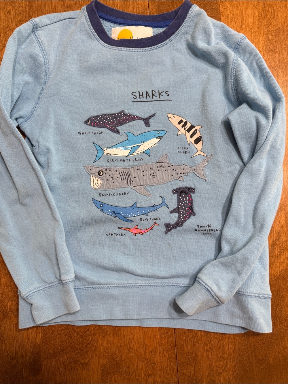 Mini Boden Light Blue Crewneck Sweatshirt with Shark Embroidery